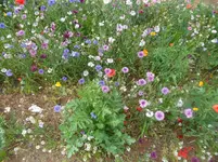 SAM_1287.webp