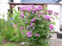 25.06 003.webp