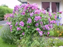 25.06 004.webp