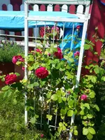 20130617_122039.webp