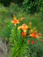 20130629_144006.webp