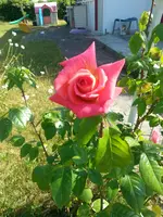 20130620_172931.webp