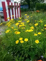 20130629_160736.webp