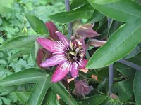 011.webp