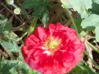 300620131373.webp