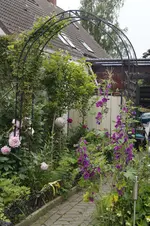 _DSC2011.webp