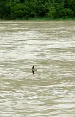 comp_DSC02958.webp