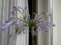 Foto003.webp