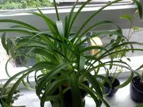 Foto002.webp