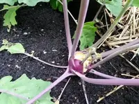 20130630_113922.webp