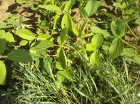 P300613_1516.webp