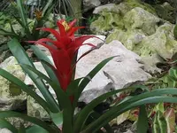 125.webp