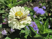 077.webp