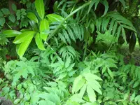 SAM_1220.webp