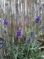 rps20130701_000744.webp