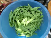 CIMG3860.webp