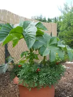 DSCN2280.webp
