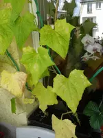 20130701_150933.webp