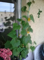 20130612_203008.webp