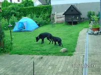 Anka+Mogli.webp