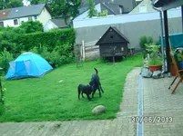 Anka+Mogli (2).webp