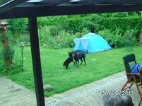 Anka+Mogli (3).webp