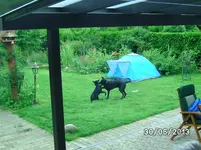 Anka+Mogli (4).webp