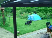 Anka+Mogli (5).webp