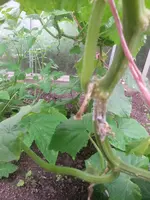 20130629_110947.webp