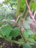 20130629_110950.webp