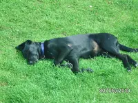 Anka fertig (2).webp