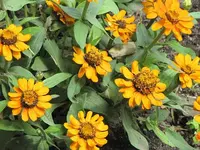 064.webp