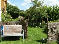SAM_0222.webp