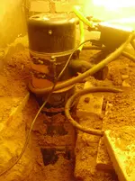 CIMG3329.webp