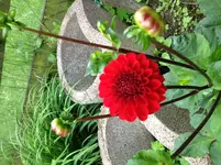 image.webp