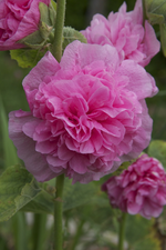IMG_7764.webp