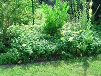 bodendecker-1-BILD3328.webp