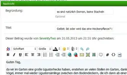 bug-kein-praefix-waehlbar.webp