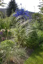 Garten 1 07 2013 004.webp