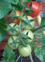 2013-06-28 19.31.07.webp