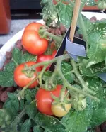 2013-06-28 19.30.42.webp