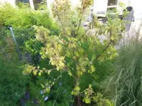 DSCN0408.webp