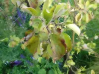 DSCN0410.webp