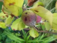DSCN0414.webp