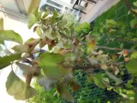 DSCN0411.webp