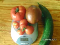 BILD3693.webp