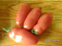 BILD3696.webp