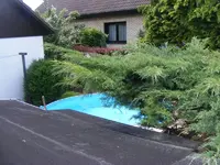 Pool.webp
