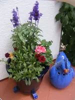 Testavatar.webp