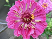 CIMG3887.webp
